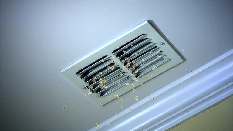 Best Local Air Duct Cleaning Services  in Austin, MN