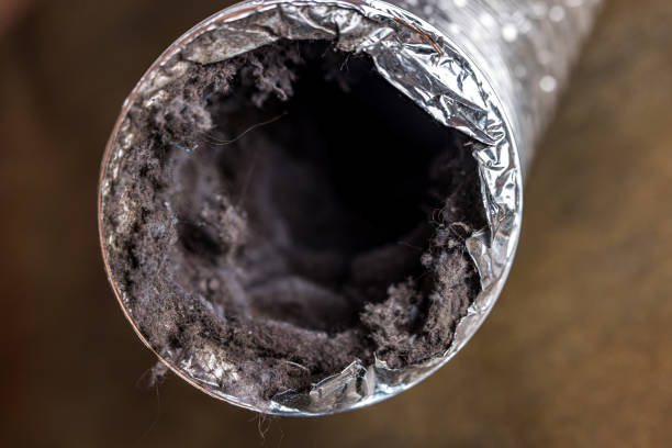 Best Home Air Vent Cleaning  in Austin, MN